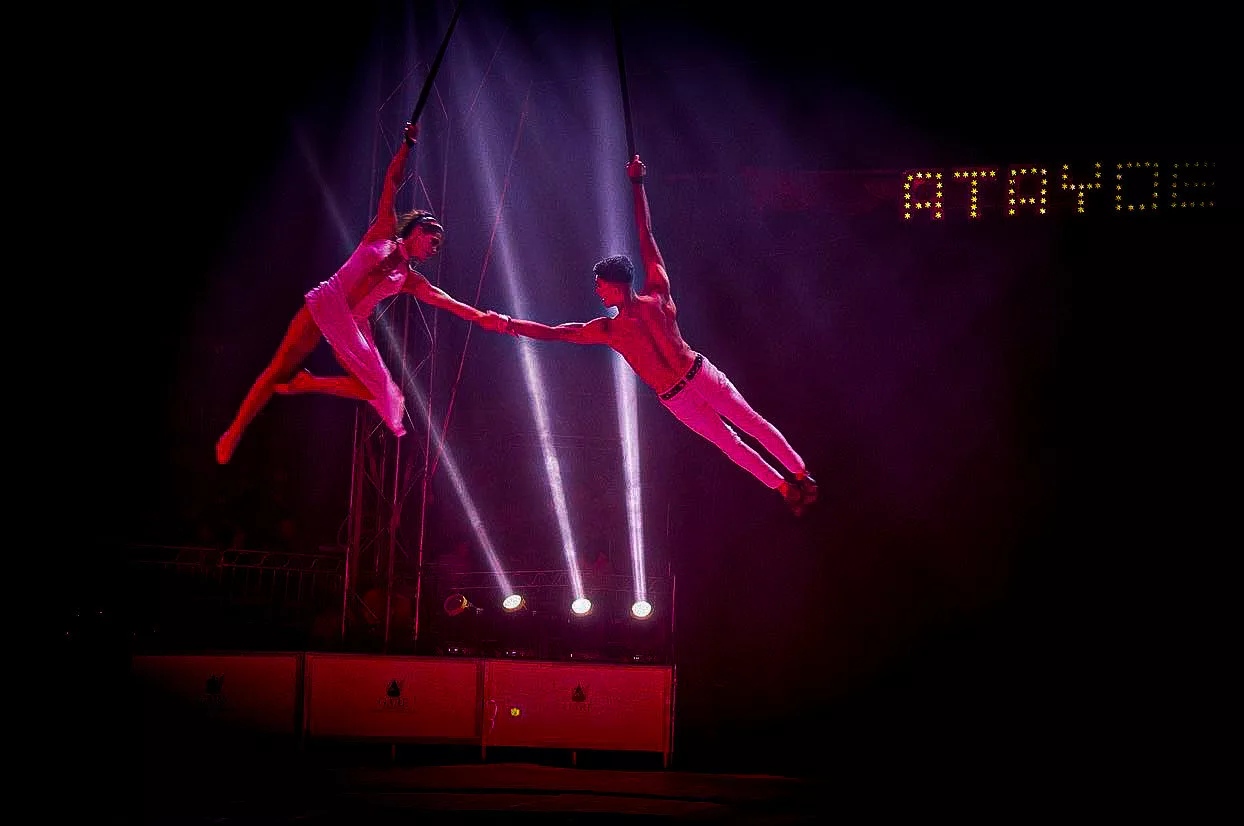 Aerial Straps Duo RubyLemon
